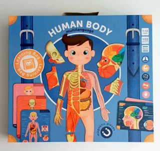 Juego Cuerpo Humano Eurekakids Magnético