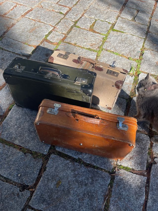 Set di Valigie Vintage Anni '60 per Decorazione