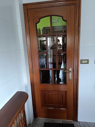 9 Puertas Madera (7 ciegas, 2 cristal)