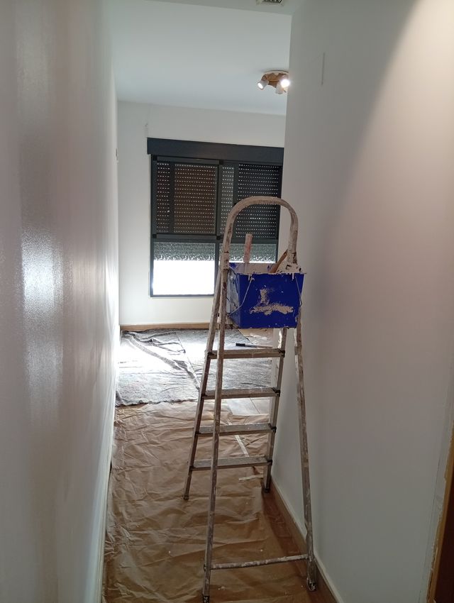 PINTOR OFERTAS NOVIEMBRE