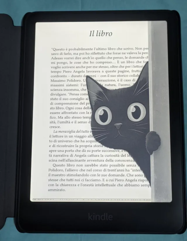Kindle Paperwhite 12a Gen 16GB 2024 No Pubblicità.