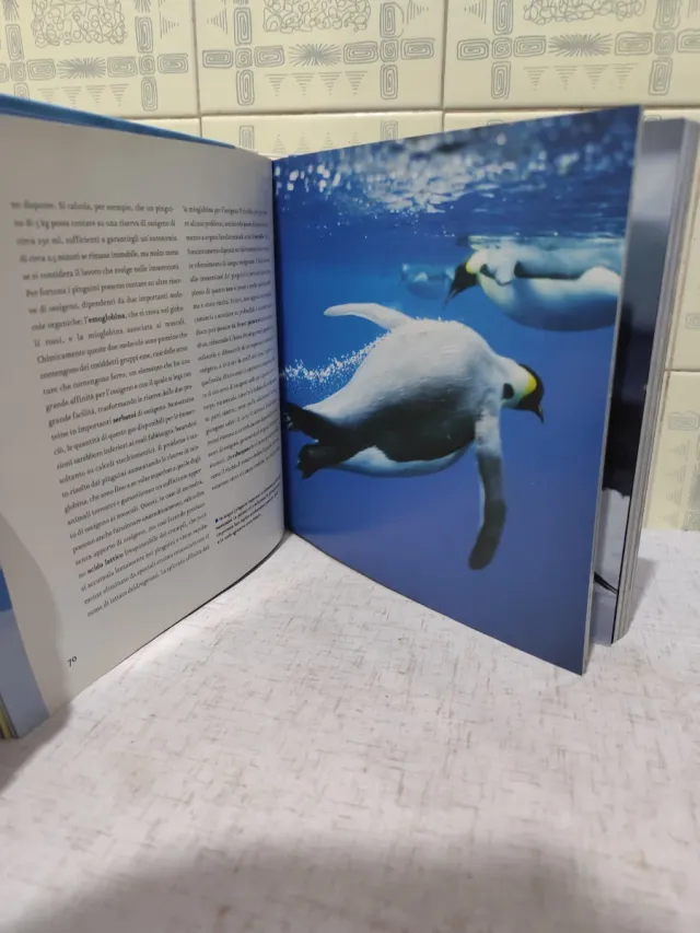 Atlante degli animali: I pinguini