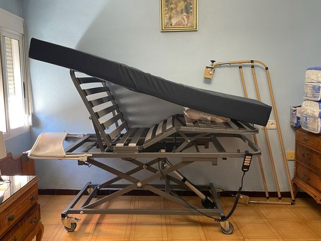 Cama Hospitalaria Eléctrica Articulada