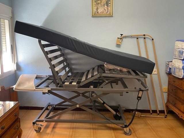 Cama Hospitalaria Eléctrica Articulada