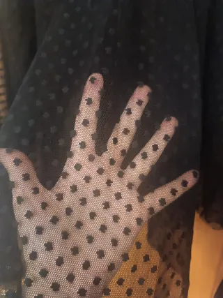 Blusa Zara Negra Transparente