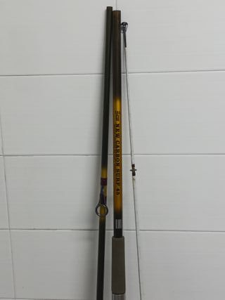 Caña de pesca MASTOR 5