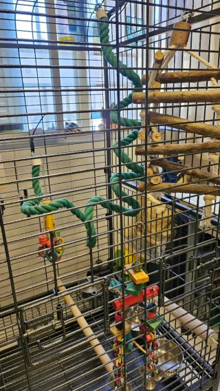 Jaula para aves con 3 platos y juguetes incluidos
