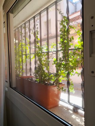 Piso en venta en El Pedró