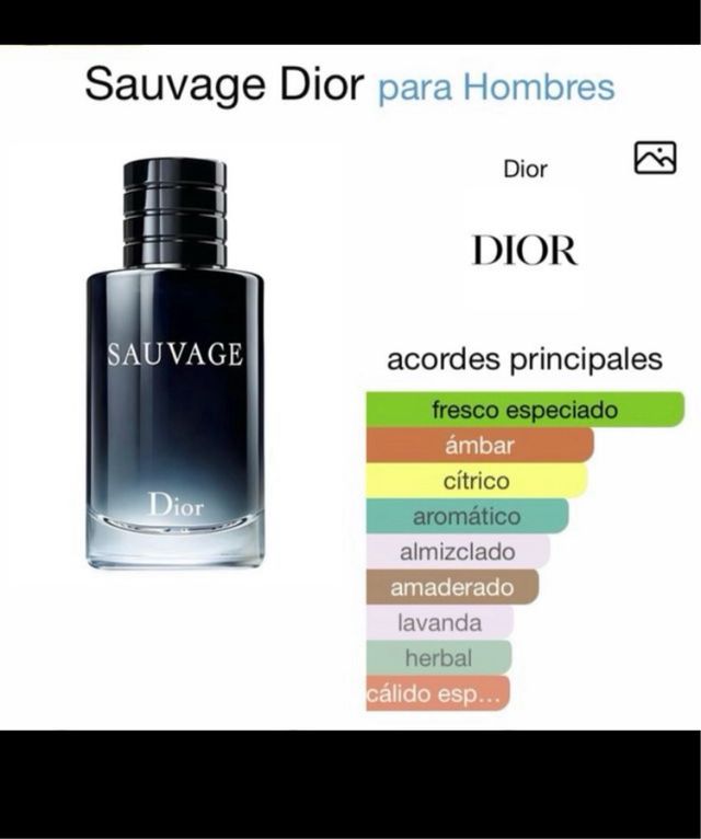 Desodorante Armaf Wild One Gold Edition