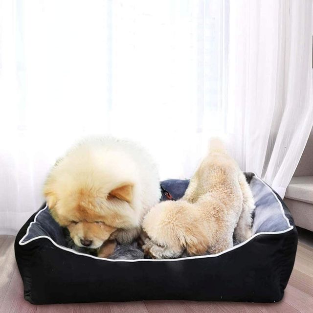 Cama para perro cómoda