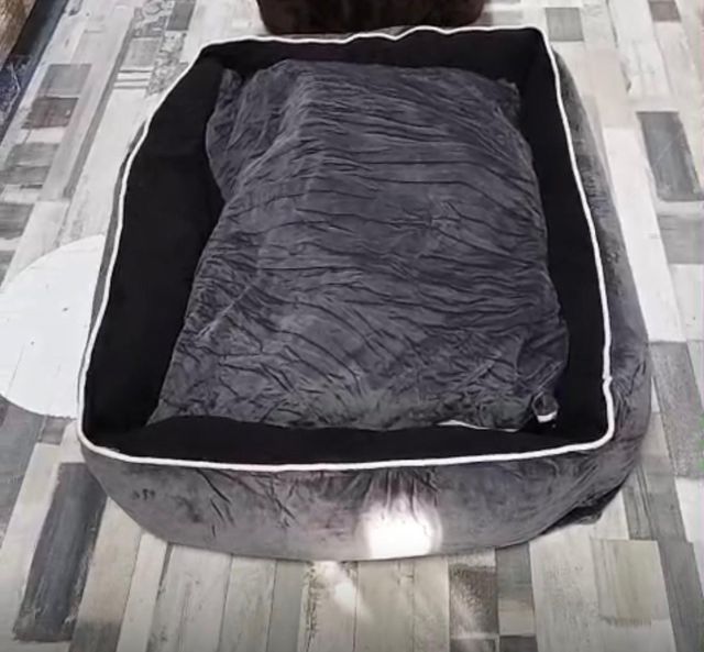 Cama para perro cómoda