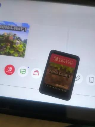 Nintendo Switch + Minecraft