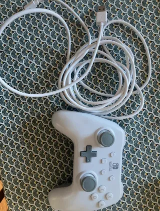 Nintendo Switch + Minecraft