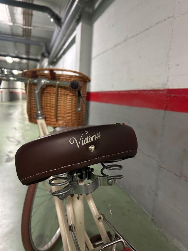 Bicicleta de paseo vintage