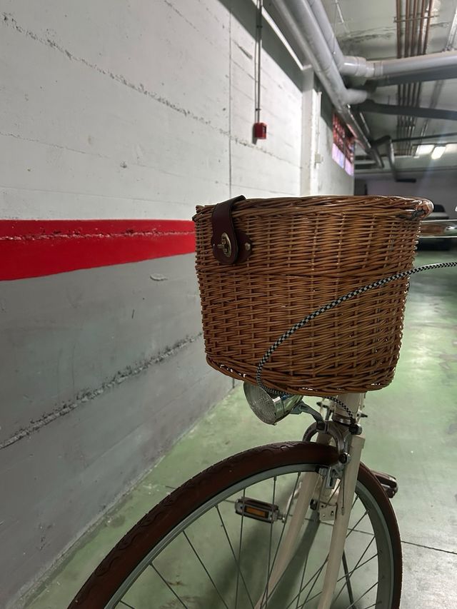 Bicicleta de paseo vintage