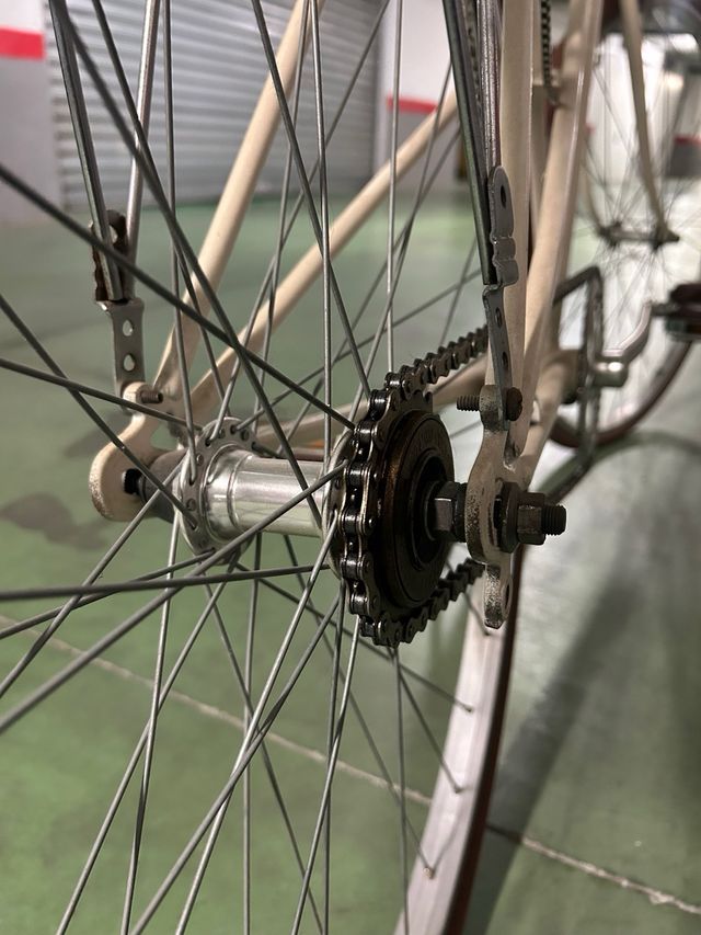 Bicicleta de paseo vintage