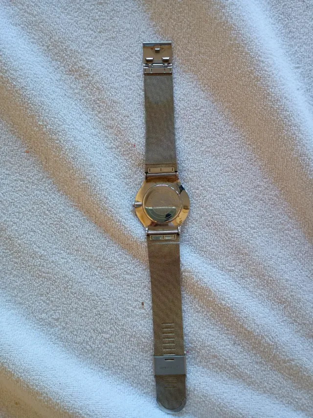 Reloj Pierre Nicolle