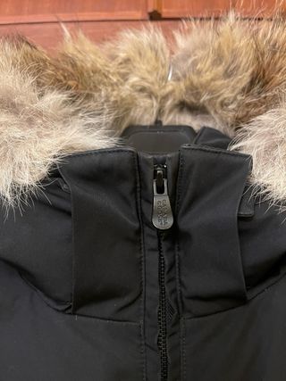 Plumas Canada Goose Negra