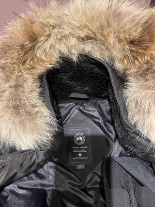 Plumas Canada Goose Negra