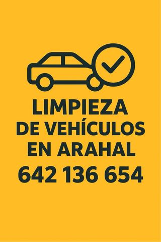 LIMPIEZA DE VEHÍCULOS