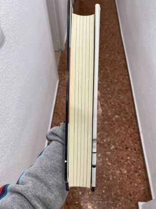 La vida de David Beckham