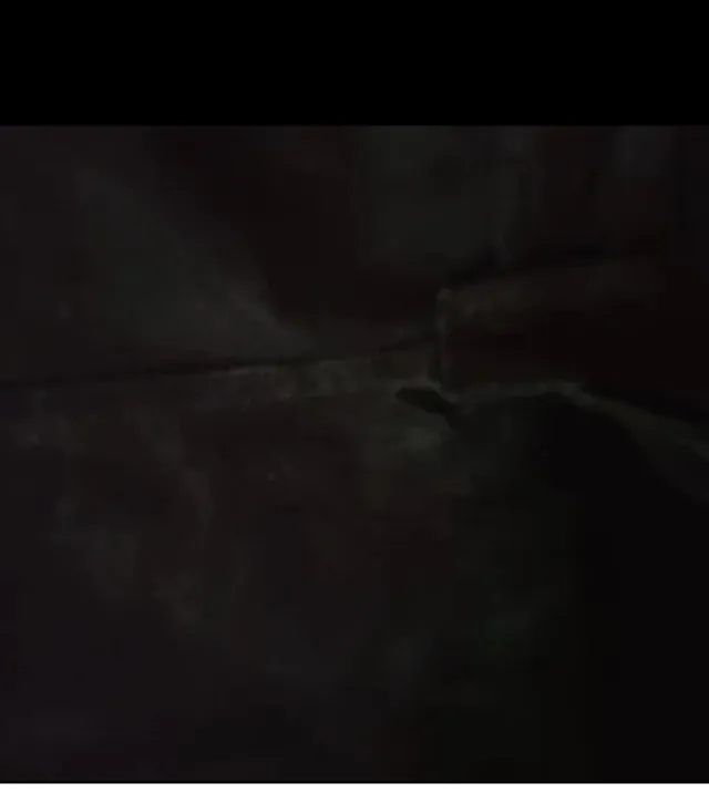 Chaqueta de piel WRP Negra