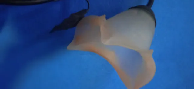 Lámpara de forja con tulipa flor cristal