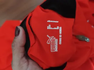 Chaqueta y Chandal Puma Selección de fútbol Suiza.