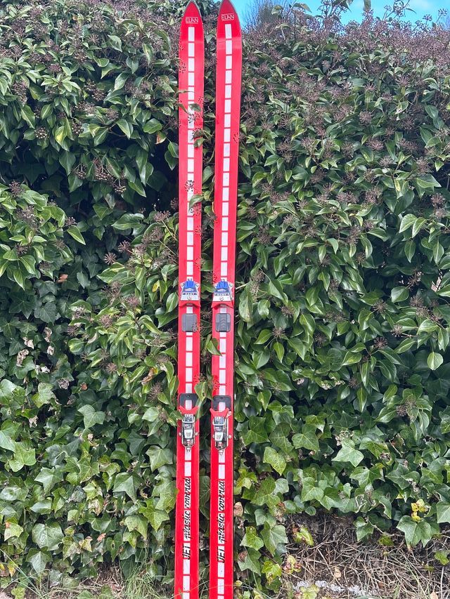 Esquís de Nieve Rojos