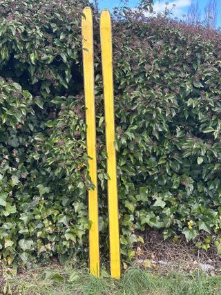 Esquís de Nieve Rojos