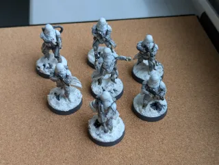 Star Wars Legion Snowtroopers Imperio