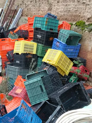 Cajas de fruta de plástico