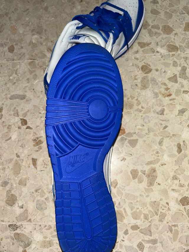 Nike Dunk Low Azul y Blanco