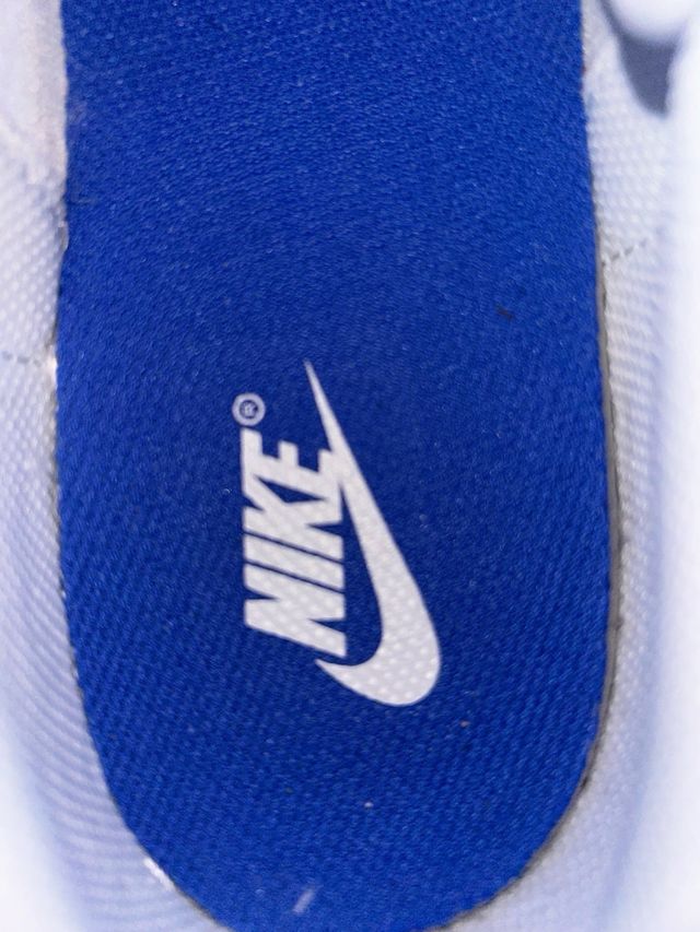 Nike Dunk Low Azul y Blanco