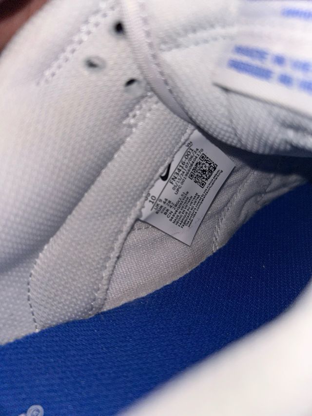 Nike Dunk Low Azul y Blanco