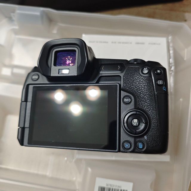 Canon EOS R + RF 24-105mm F4 L IS USM