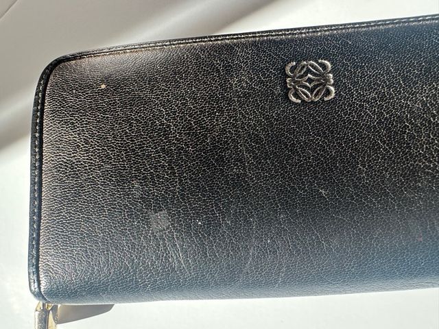 Bolso y cartera de mano Loewe Amazona