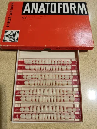 Tablillas Prótesis Dental ANATOFORM DE TREY