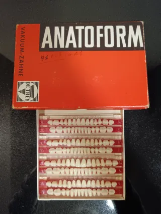 Tablillas Prótesis Dental ANATOFORM DE TREY