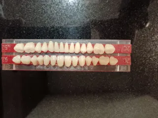 Tablillas Prótesis Dental ANATOFORM DE TREY