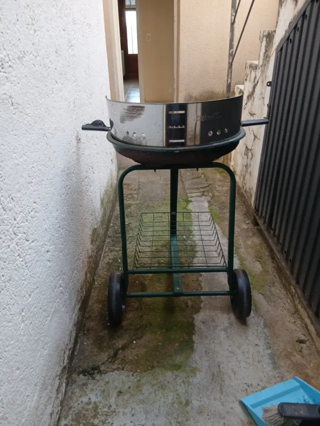 Barbacoa verde y plateada