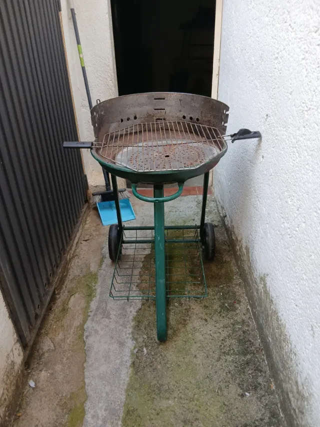 Barbacoa verde y plateada