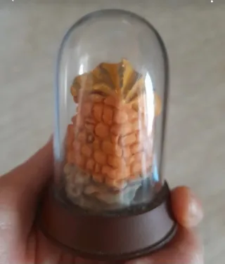 Presepe vintage in campana