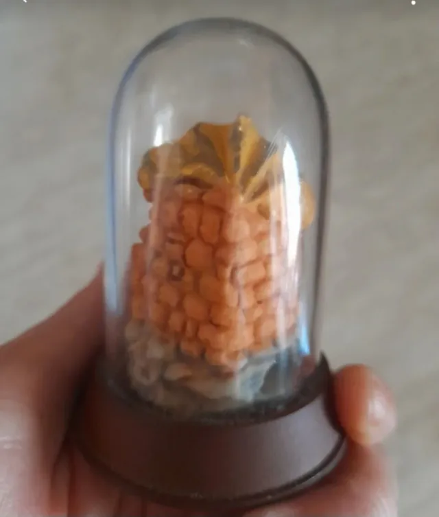 Presepe vintage in campana