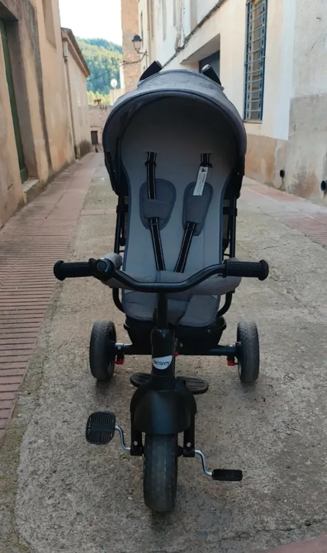 Triciclo evolutivo gris