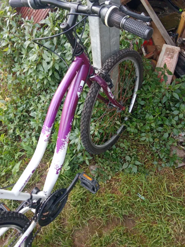 Bicicleta de montaña blanca y morada