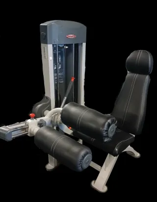 Máquina Femorales Sentado Panatta