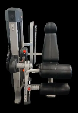 Máquina Femorales Sentado Panatta