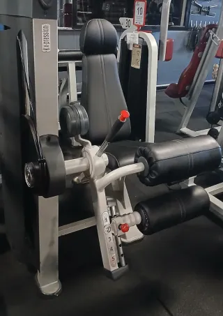 Máquina Femorales Sentado Panatta