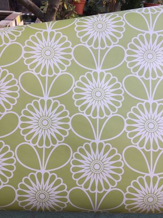 Papel pintado Vymura y Wilko